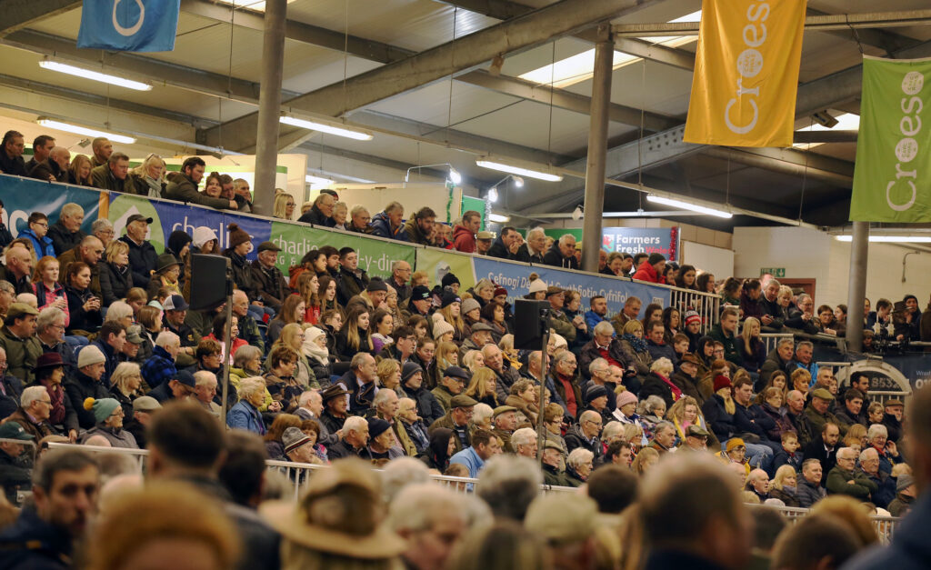 Thousands of visitors and school children flock to Builth Wells for