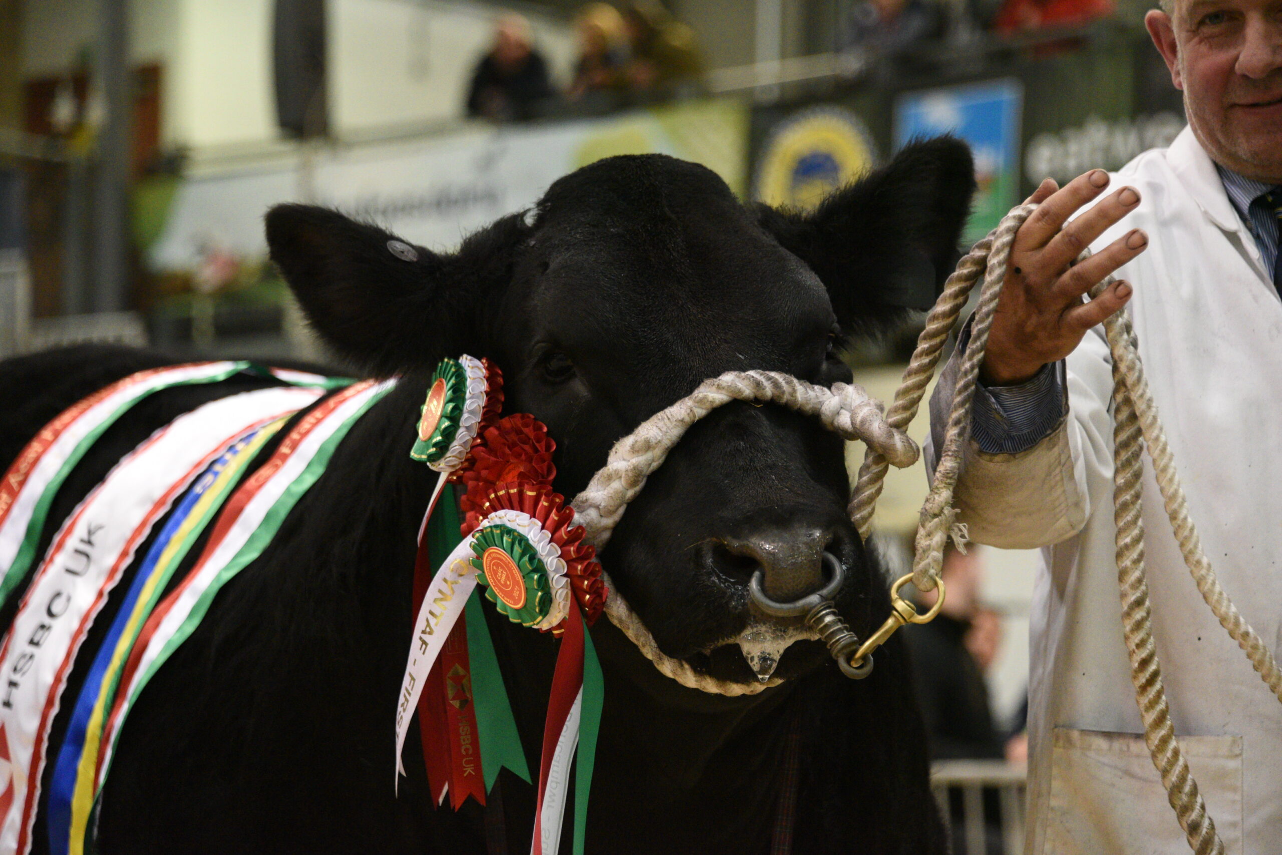 Winter Fair 2024 Tickets Now On Sale Royal Welsh