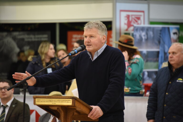 Recordbreaking Royal Welsh Winter Fair kickstarts the festive season